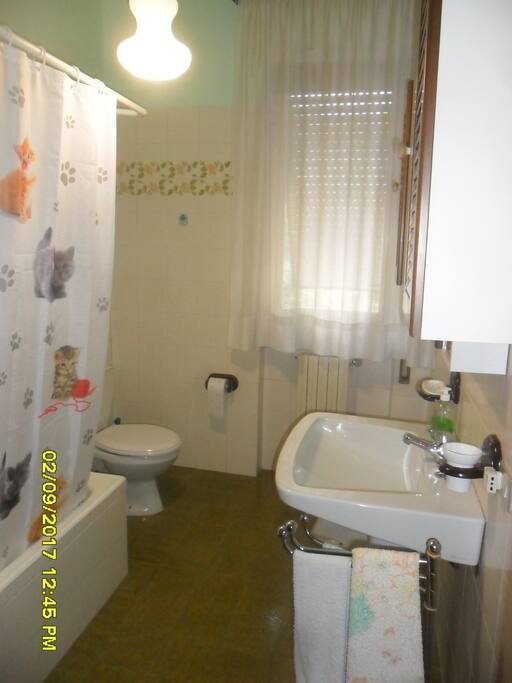bagno