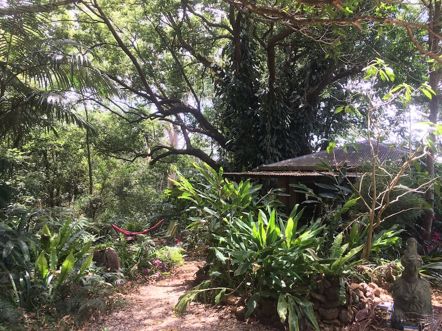 Set in a beautiful bush setting under the trees, the cabin is very private with your own garden