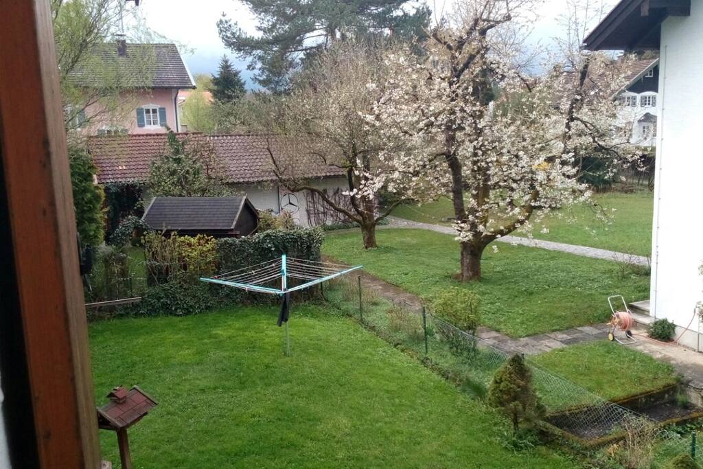 Schöner Blick ins Grüne