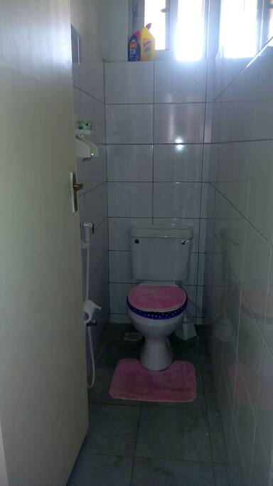 my toilet