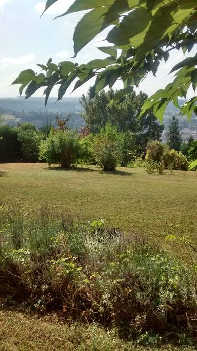 Vue sur le jardin.