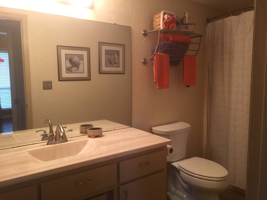 Guest Bathroom (Private)