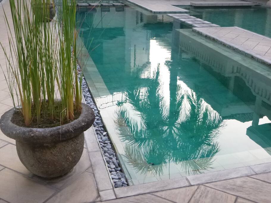 pool just 3 metres from living room
