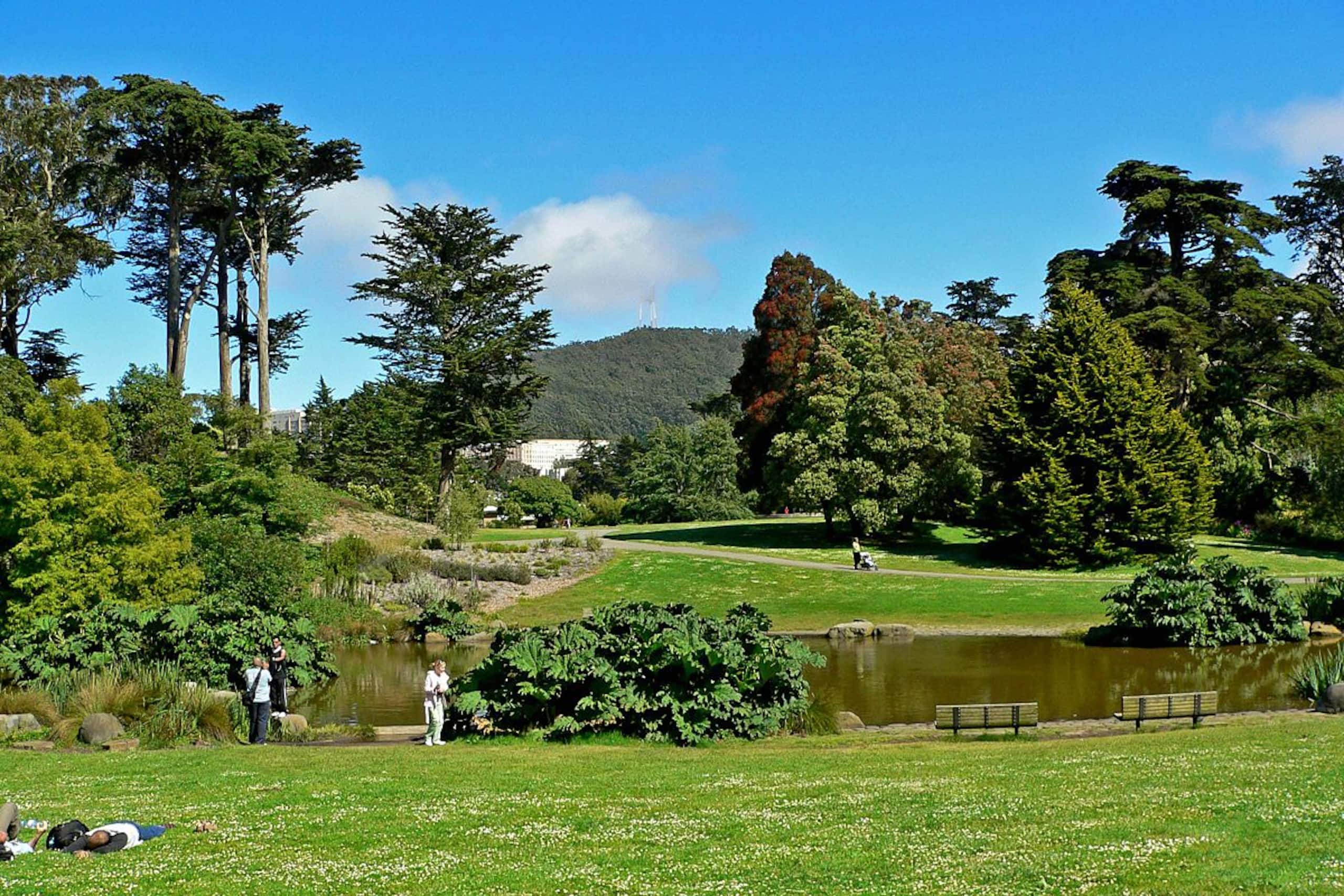 Home in San Francisco · ★4.98 · 4 bedrooms · 4 beds · 2.5 baths - Image 47