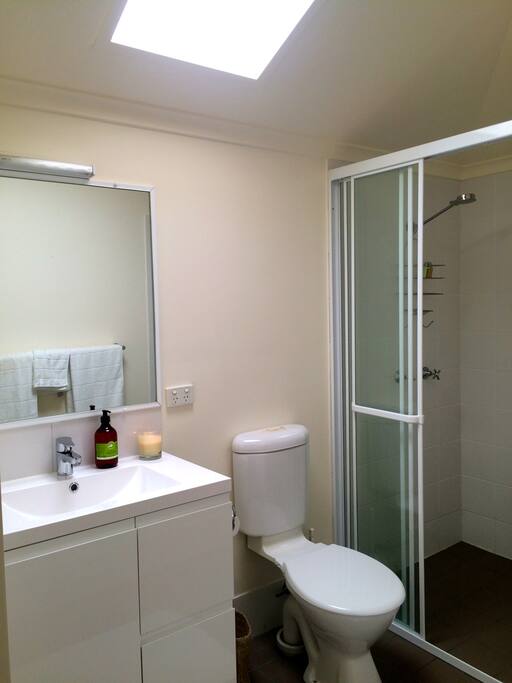 Renovated modern bathroom