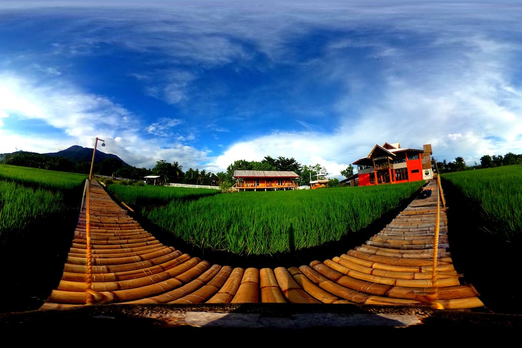 Panorama of the volcano, rice paddies and the property