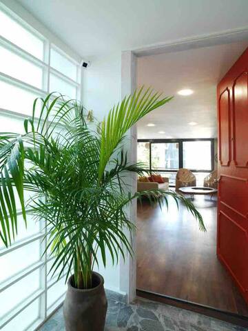 Corazon de condesa 4/Brd gallery image 2