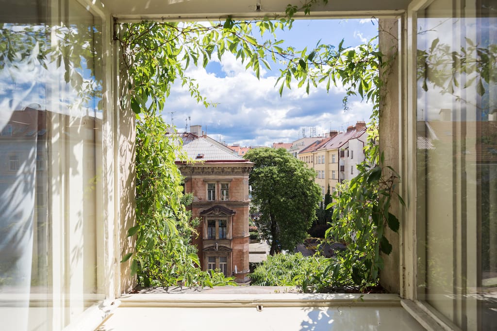 Living room view