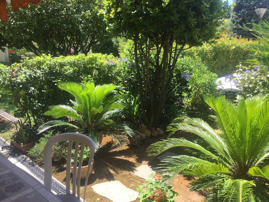 Jardin-terrasse