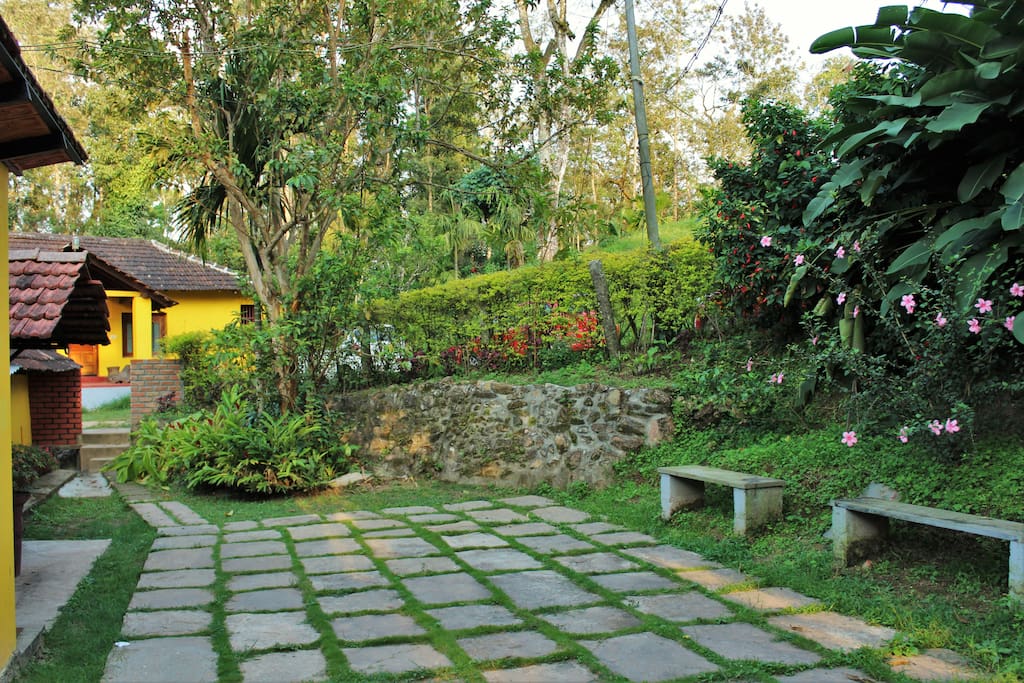 Garden Area