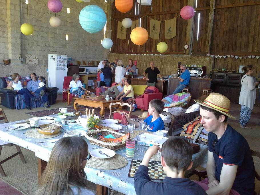 Fun & games in the summer barn