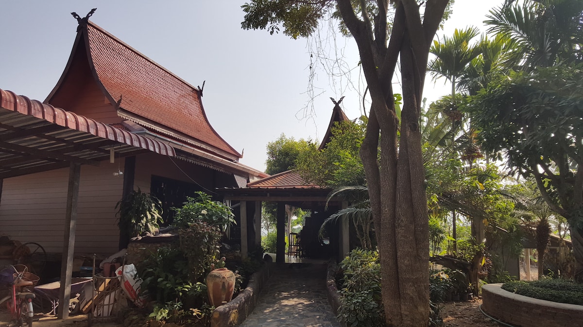 A welcoming entrance path is lined with lush greenery and palm trees, leading to two traditional structures with pointed roofs. A covered area provides shade, while decorative elements and plants add charm to the setting.