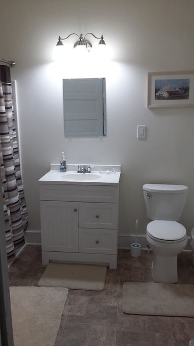 Private bath beside downstairs bedroom