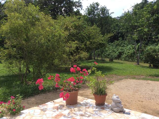 SURINAME, Para, Relaxed countryside apartment