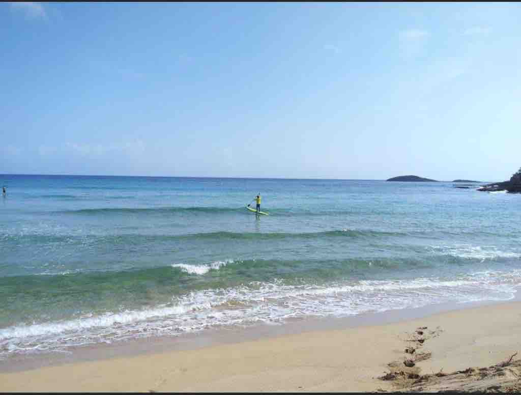 A calm beach scene is depicted, featuring gentle waves lapping at the shore. A person stands on a paddleboard, gliding over the water under a clear blue sky. The sandy beach extends in the foreground, with distant rocky formations visible on the horizon.