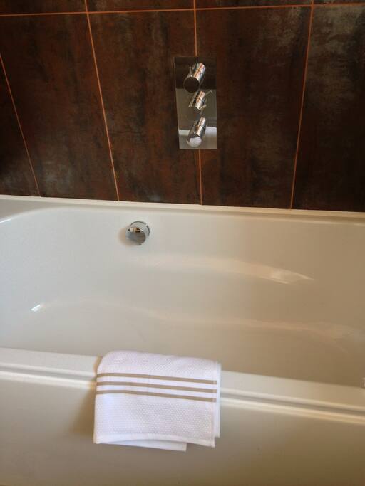 Modern bathroom with shower over bath