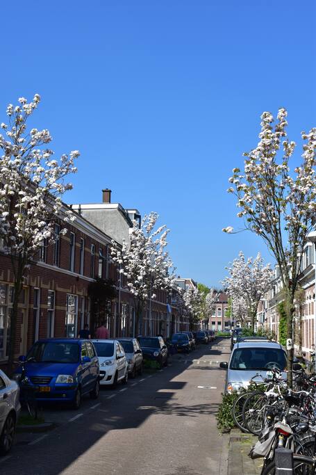 Our street