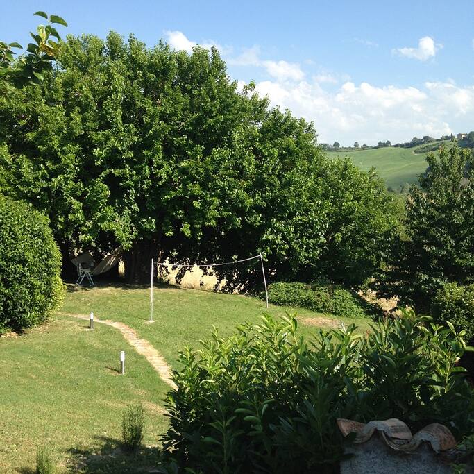 view on front garden