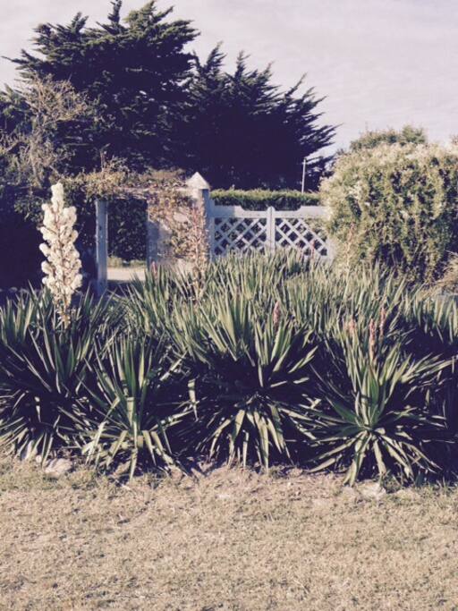 Le jardin clôt, qui donne sur le chemin