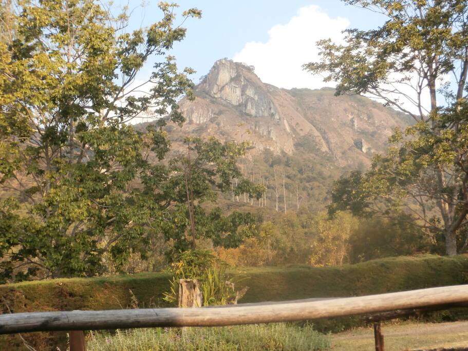 Lion's Head