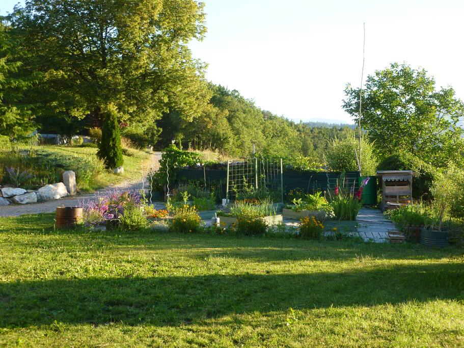 Le jardin potager