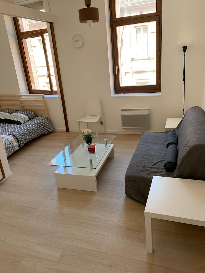 Downtown apartment on metro compans Apartments for Rent in Toulouse