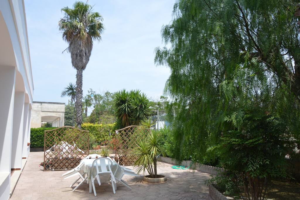 Giardino esterno - foto 2
