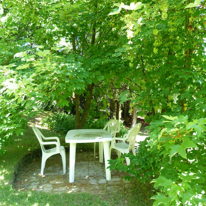 Patio exterior, al lado de la parrilla, sombra fresca del verano...