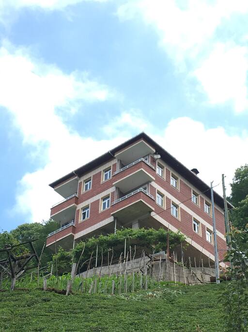 Front view