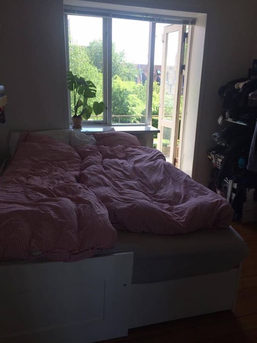 Room 1/2
