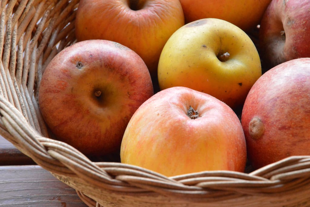 Apples