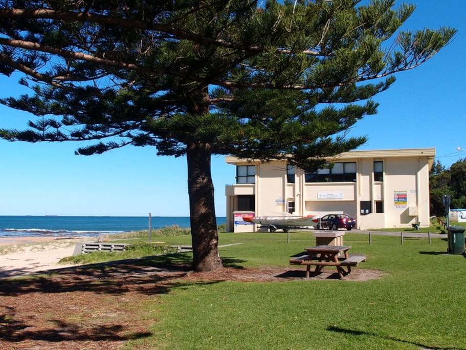 Coledale beach
