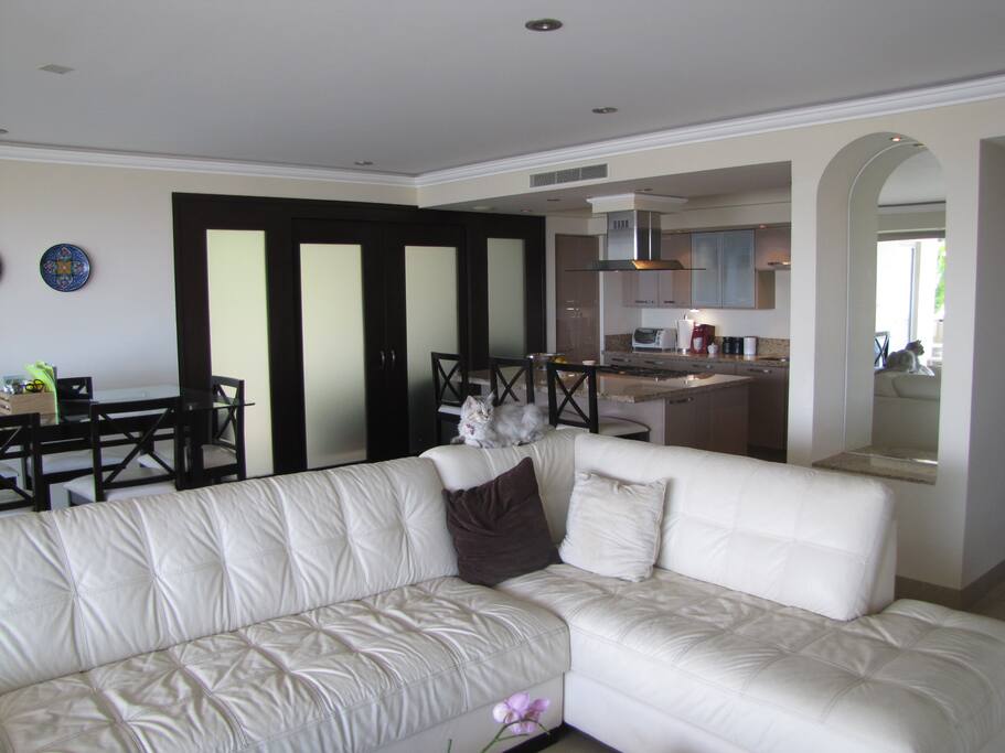 Large Living Room with Dining on left, Kitchen in back.