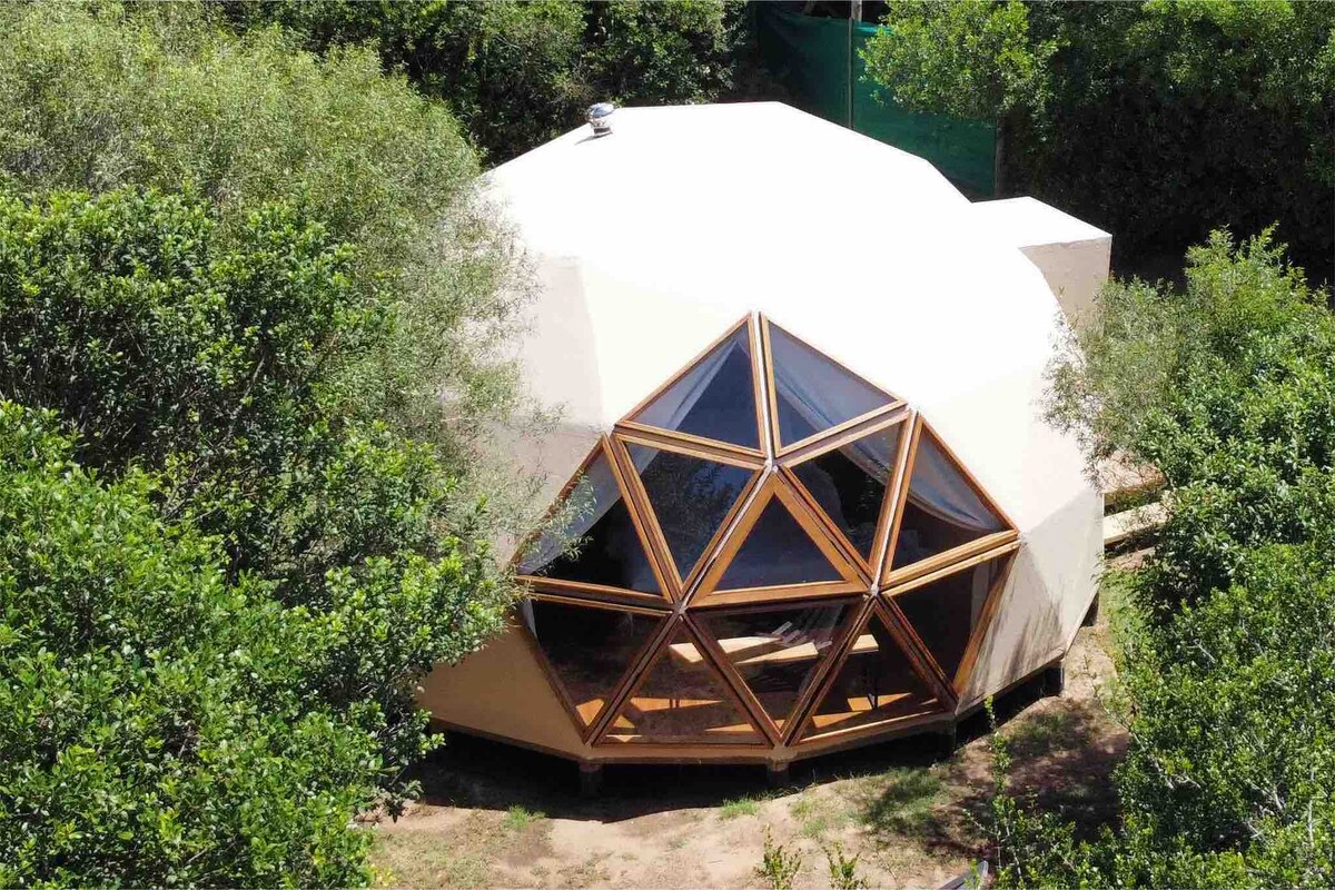 Ocean Domos - imagen 3