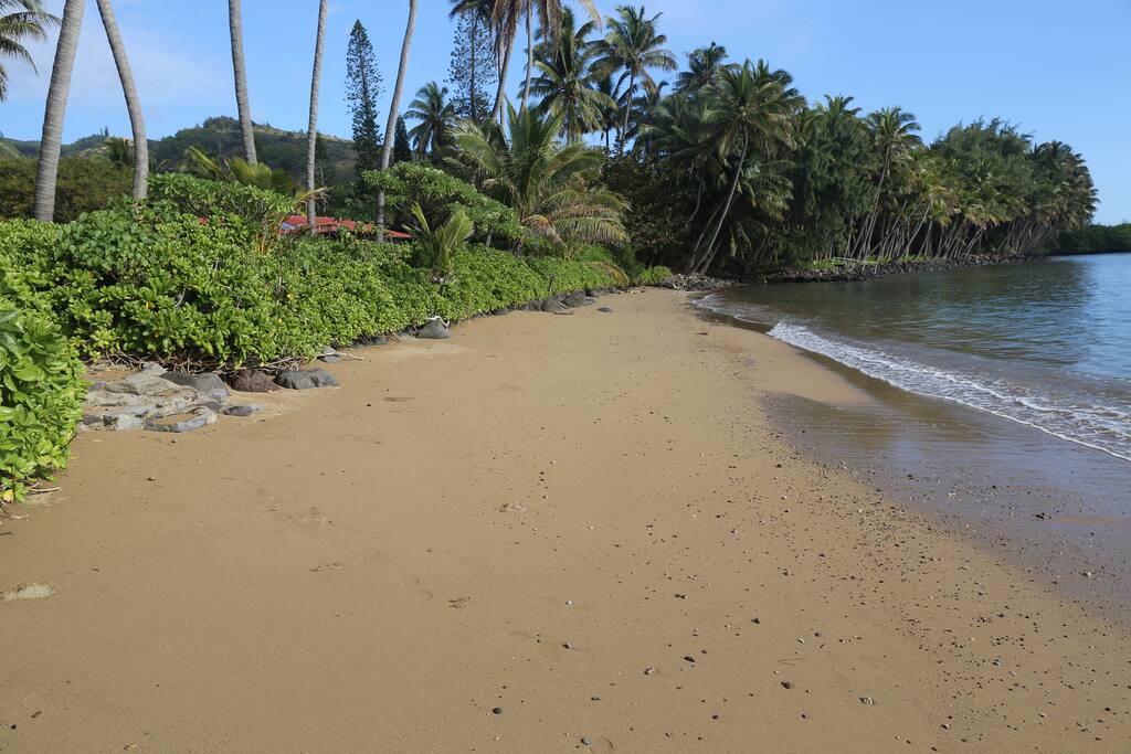 Beach Out Front of Our Property