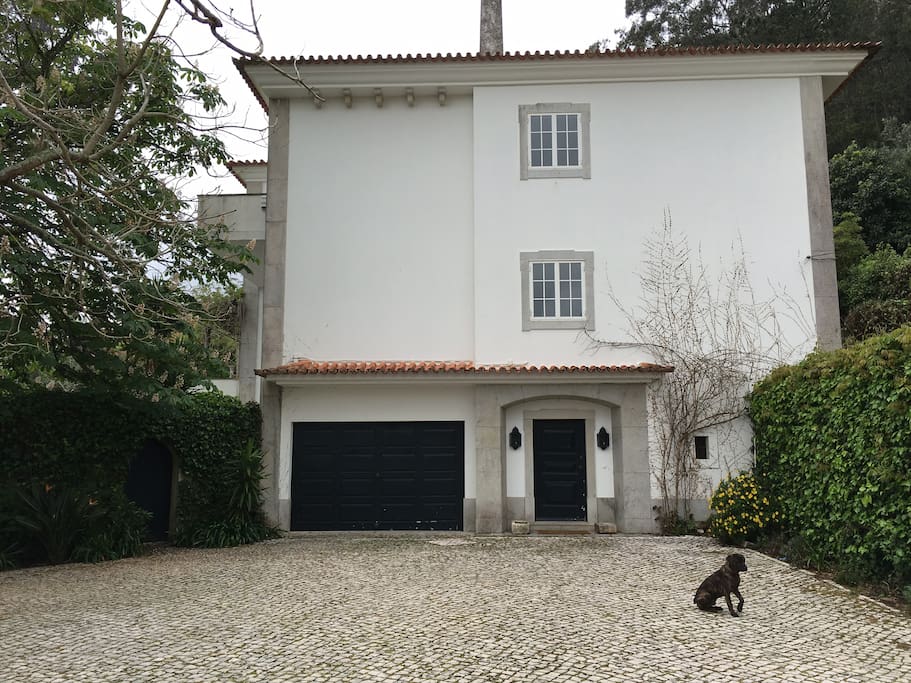 An old "Palace-like" Villa