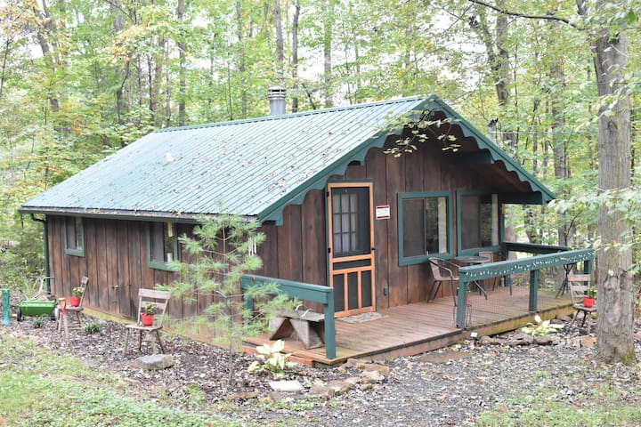 Lumberjack Cabin: WiFi+Near Bald Eagle State Park