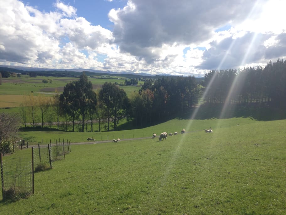 Farm view.