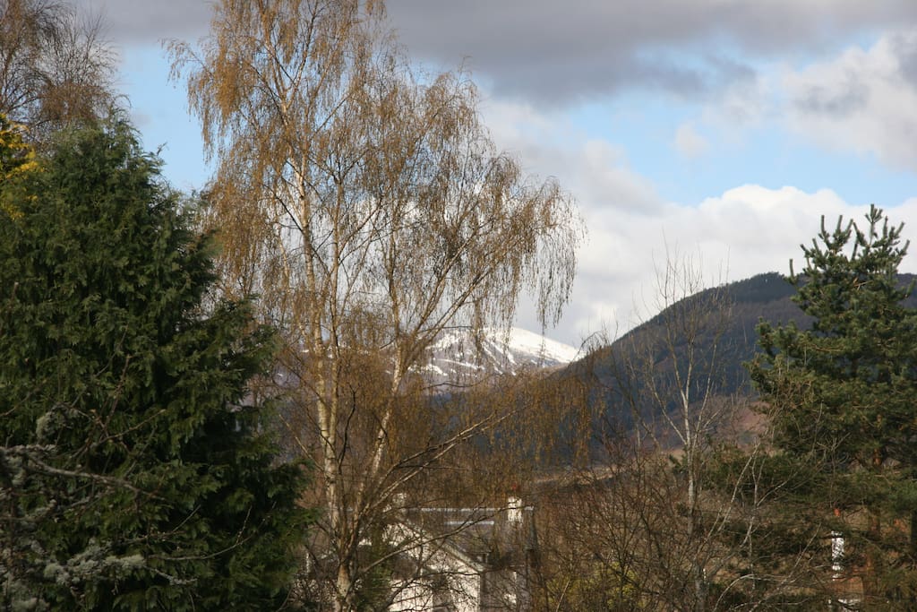 The view from the back of the house