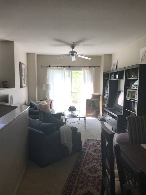 Living room space with balcony overlooking park with fountain