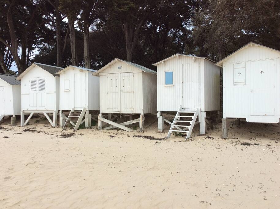 Les cabines de plage, sur la plage des dames