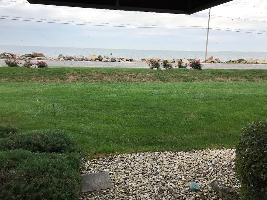 Morning Room Window View