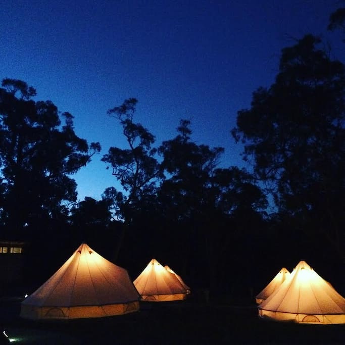 Bell Tents at night