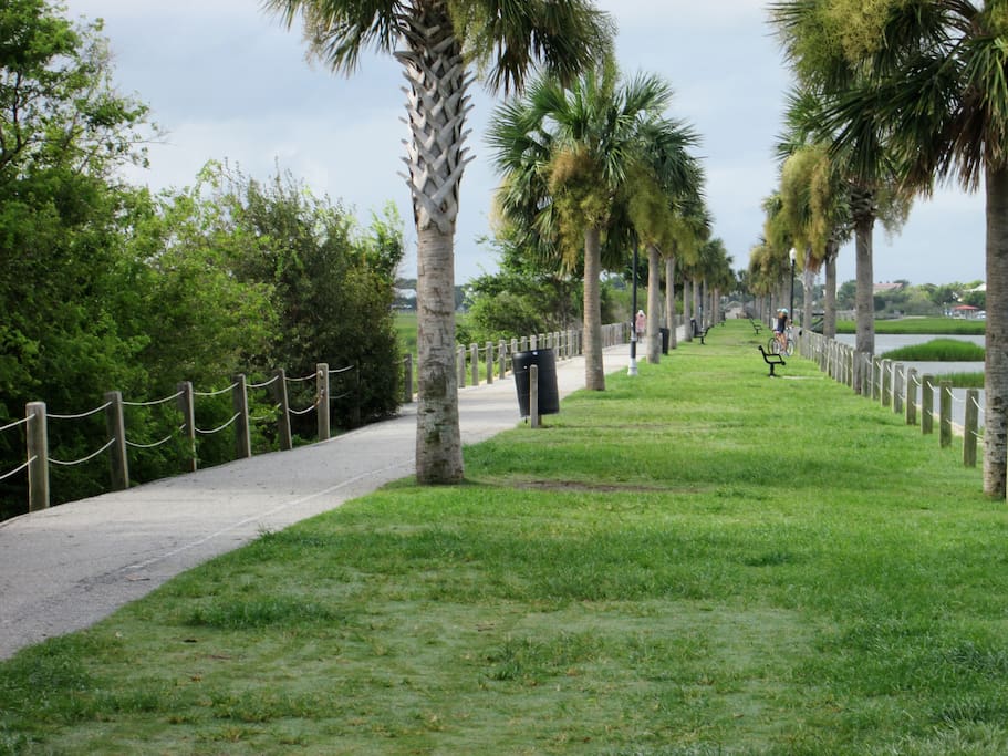 Pitt Street Bridge
