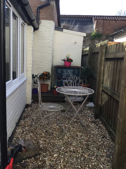 back yard