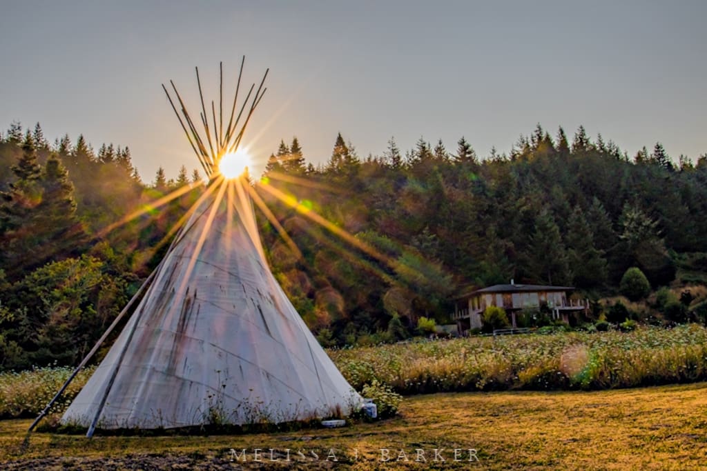 The teepee is set up in the summer and is also on Airbnb