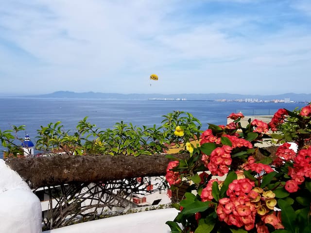 Los Muertos Beach Romantic Zone One Bedroom Condo