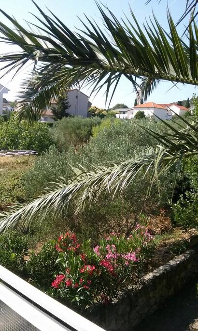 Terrace-view