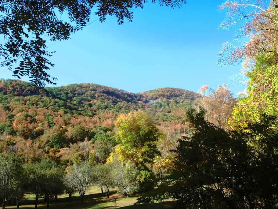 The house is surrounded by mountains and hiking trails in the Upper Hickory Nut Gorge.