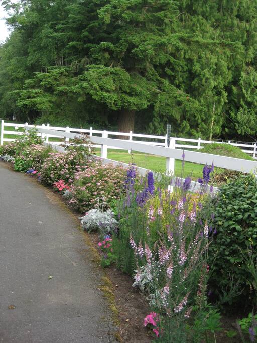 Floral beauty in a country setting